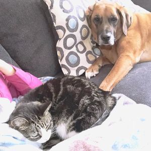 Meet your Posher, Lisa